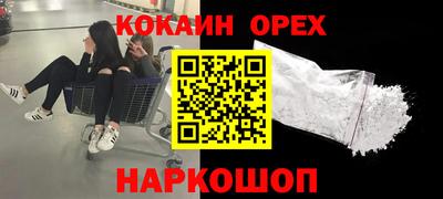 крисы Гай