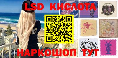 крисы Гай