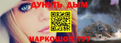 крисы Гай