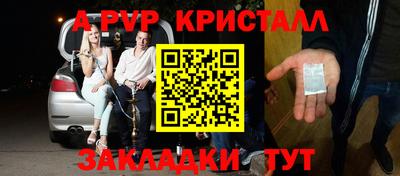крисы Гай